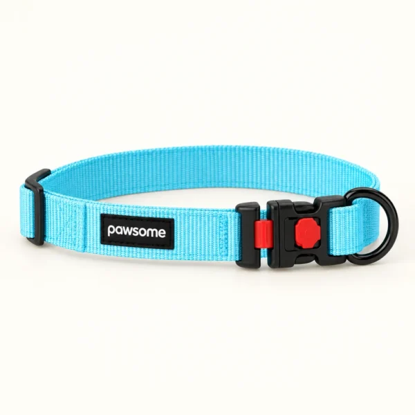 Collar para perro con argolla en D, 30 a 50 cm