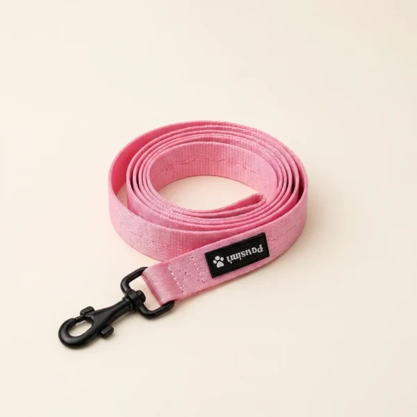 Correa de nailon 2,5 × 150 cm para perro
