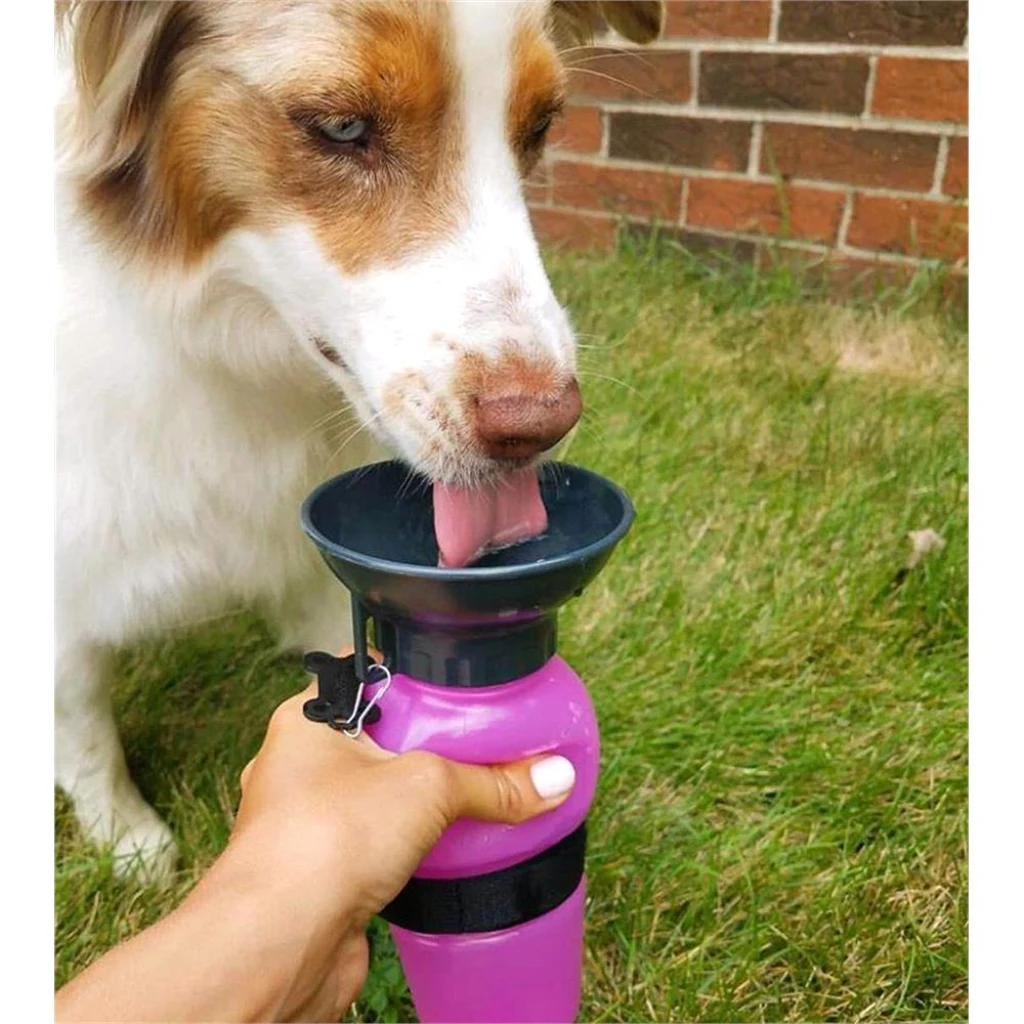 Perro tomando agua del cuenco del bebedero portátil rosado