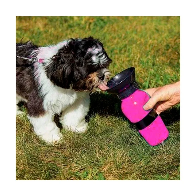 Perro pequeño tomando agua del bebedero portátil en el césped