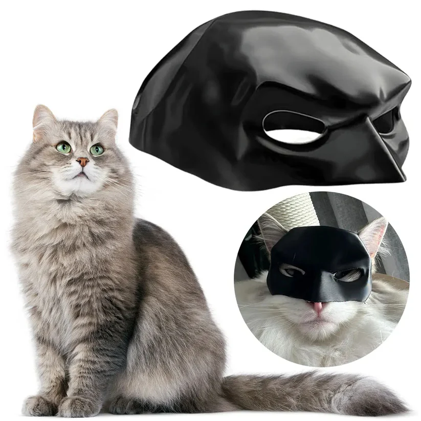 Máscara negra y gatos en fotografías de referencia