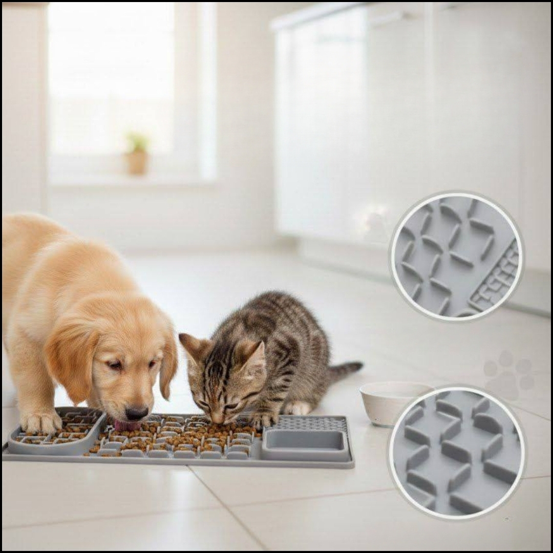 Perro y gato usando una alfombrilla gris con alimento entre los canales