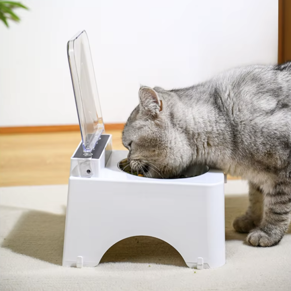 Gato comiendo en un comedero con tapa transparente abierta