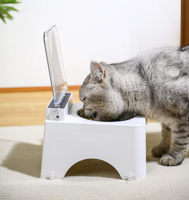 Gato comiendo en un comedero con tapa transparente abierta