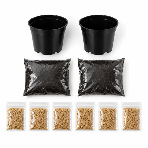 Dos macetas negras, dos bolsas de tierra y seis sobres de semillas de hierba para gatos